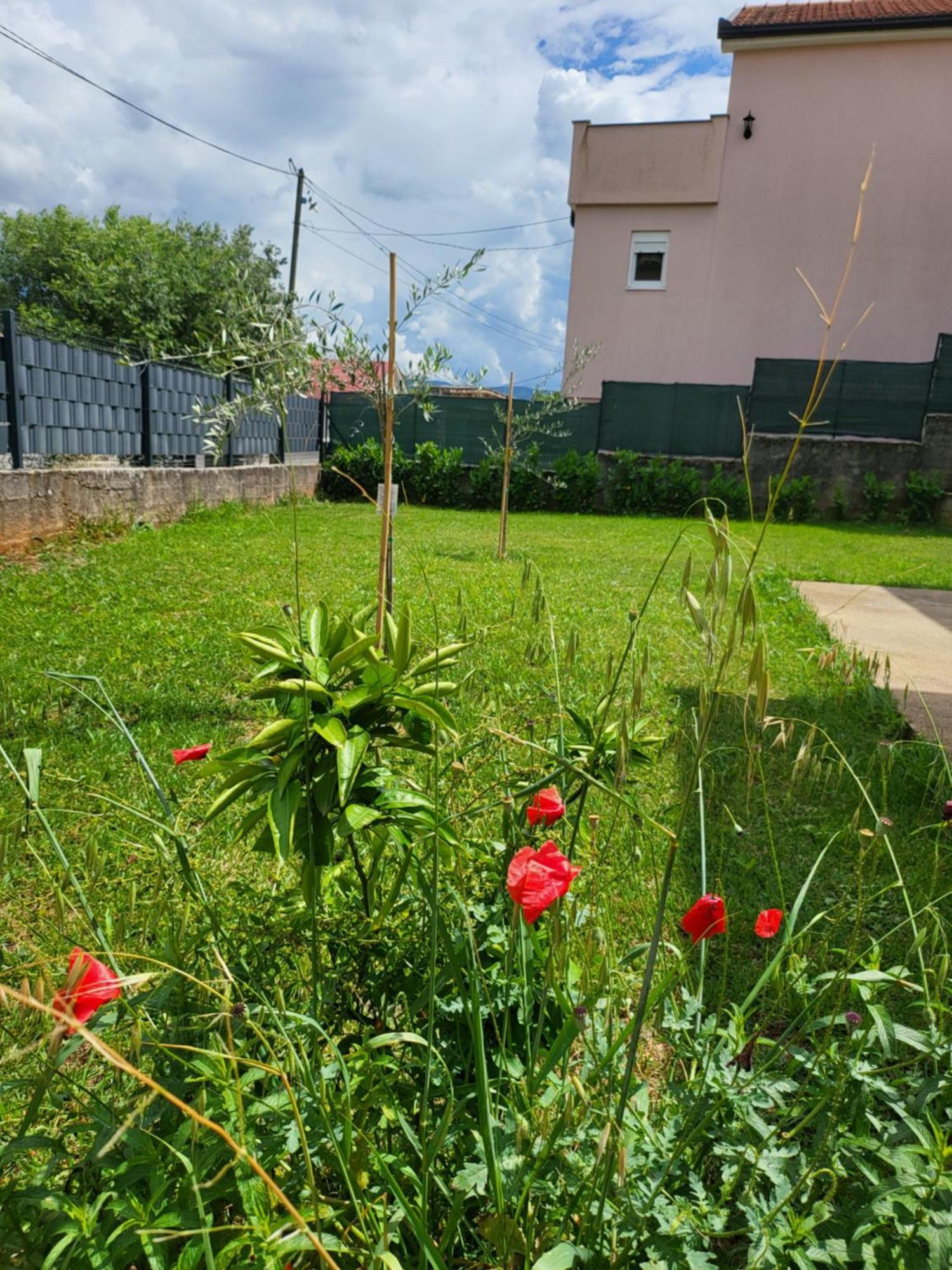 Villa Vila Dolce Vita
